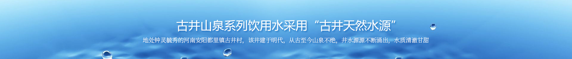 安阳古井山泉饮品有限公司